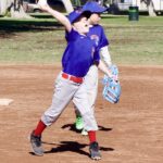 Young baseball player pitching the ball on a sunny day.